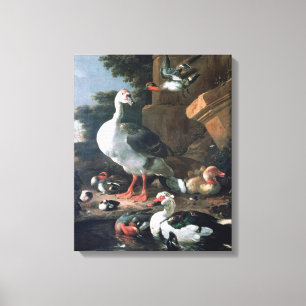 Wasservögel in einer klassischen Landschaft, 17. Leinwanddruck