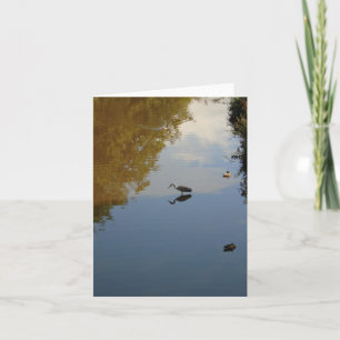 Wasservögel in Pollok Park, Glasgow Karte