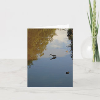 Wasservögel in Pollok Park, Glasgow Karte