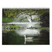 Wasservögel Kalender (Titelbild)