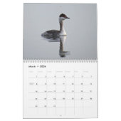 Wasservögel Kalender (Mär 2026)