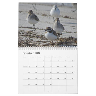 Wasservögel Kalender