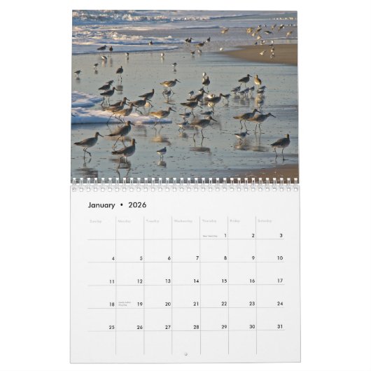 Wasservögel Kalender (Jan 2026)