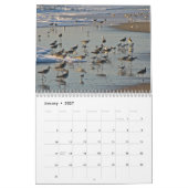 Wasservögel Kalender (Jan 2027)