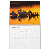 Wasservögel Kalender (Feb 2027)