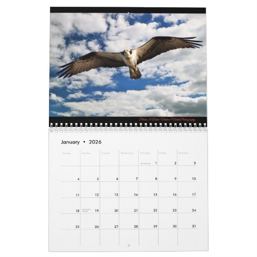 Wasservögel Kalender (Jan 2026)