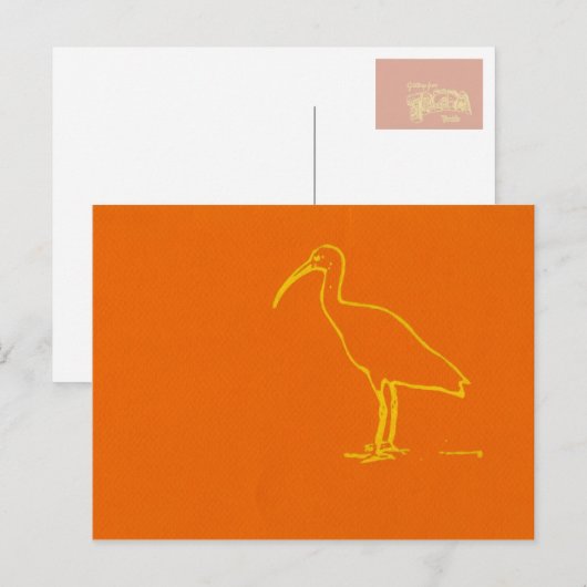 Wasservogel Postkarte (Vorne/Hinten)