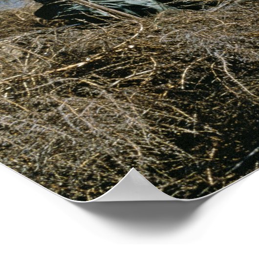 Wasservogeljagd Poster (Ecke)