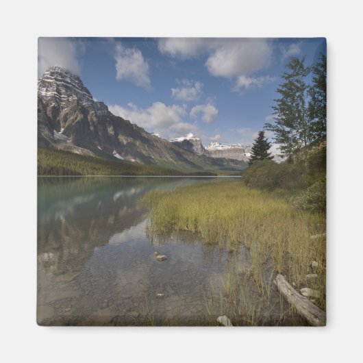 Wasservogelsee entlang des Icefields-Parks, Magnet (Vorne)