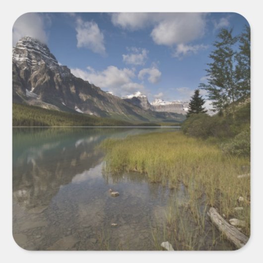 Wasservogelsee entlang des Icefields-Parks, Quadratischer Aufkleber (Vorderseite)