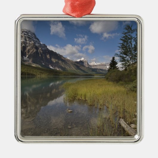 Wasservogelsee entlang des Parks Icefields, Ornament Aus Metall (Vorne)