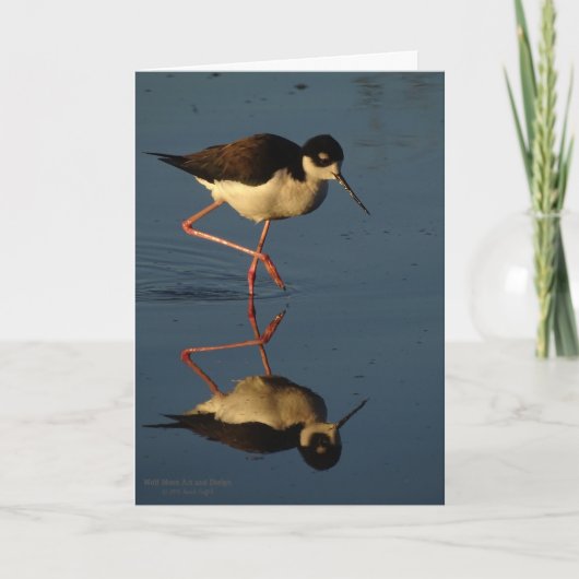Wasservögelshorebird-watender Vogel-Schwarz-Necked Karte (Vorderseite)