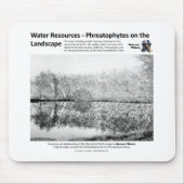 Wasservorkommen I - Phreatophytes auf der Mousepad (Vorne)