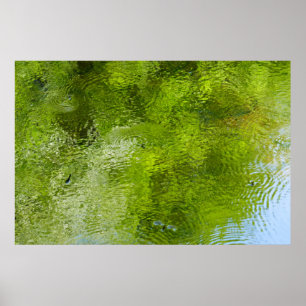 Wasserwanzen im Laurel Hill State Park Poster