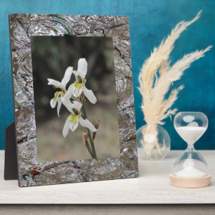Wasserwellen-Regentropfen-Geschenke Fotoplatte