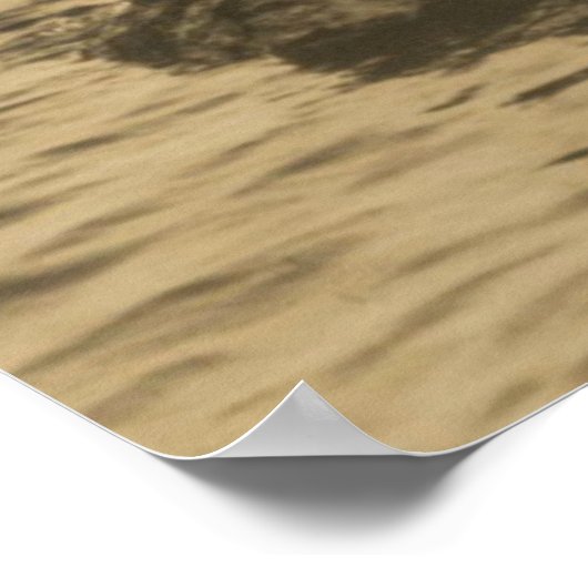 Wasserymphe Poster (Ecke)