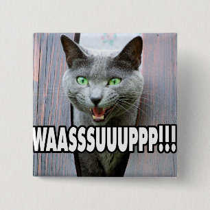 WASSUP - Cat Meme Button