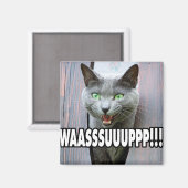 WASSUP - Cat Meme Magnet (Vorderseite/Rückseite)