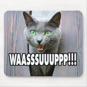 WASSUP - Cat Meme Mousepad