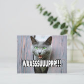 WASSUP - Cat Meme Postkarte (Stehend Vorderseite)