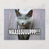 WASSUP - Cat Meme Postkarte (Vorderseite)