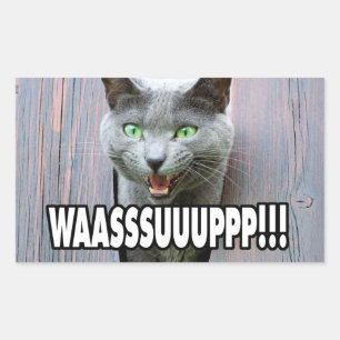 WASSUP - Cat Meme Rechteckiger Aufkleber