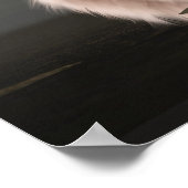 Wasteland Poster (Ecke)