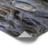 Wat Mahathat Buddha Head Poster (Ecke)