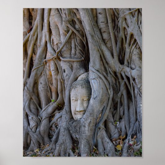 Wat Mahathat Buddha Head Poster (Vorne)