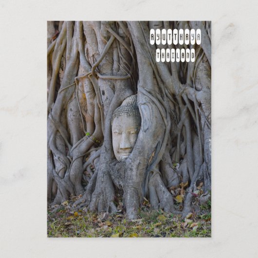 Wat Mahathat Buddha Head Postkarte (Vorderseite)