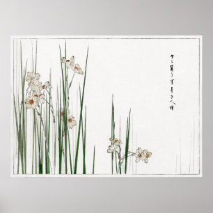 Watanabe Seitei Jonquil Illustration von Bijutsu Poster