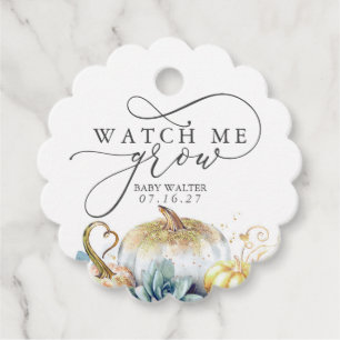 Watch Me Grow - Succulents Pumpkins Baby Showroom Geschenkanhänger