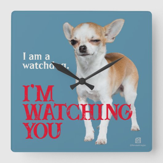 Watchdog Chihuahua - Anpassbar Quadratische Wanduhr (Vorderseite)