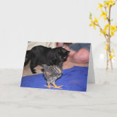 Watchers Karte (Gelbe Blume)