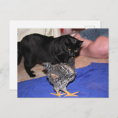 Watchers Postkarte (Vorne/Hinten)