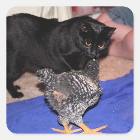 Watchers Quadratischer Aufkleber (Vorderseite)