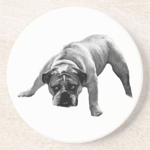Watchful Bulldog-Untersetzer Getränkeuntersetzer