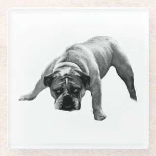 Watchful Bulldog-Untersetzer Glasuntersetzer