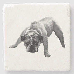 Watchful Bulldog-Untersetzer Steinuntersetzer