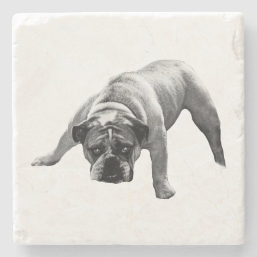 Watchful Bulldog-Untersetzer Steinuntersetzer (Vorderseite)