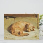 Watchful Cocker Spaniel Dog Karte (Stehend Vorderseite)