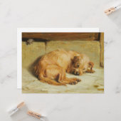 Watchful Cocker Spaniel Dog Karte (Vorderseite/Rückseite Beispiel)