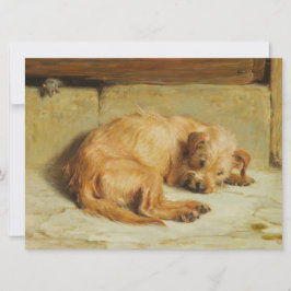 Watchful Cocker Spaniel Dog Karte