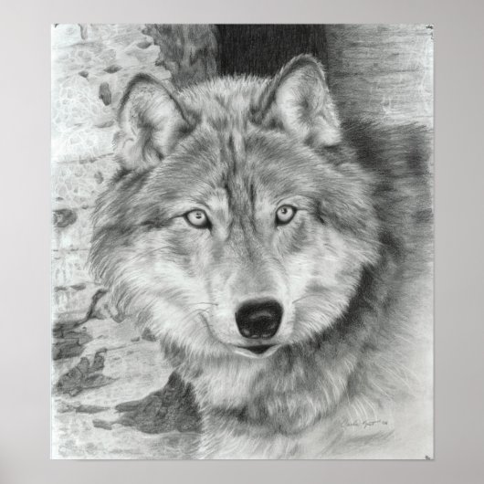 Watchful Eyes wolf poster (Vorne)