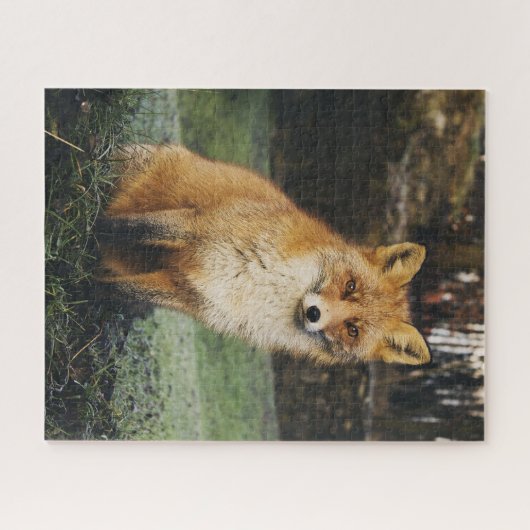 Watchful Fox Puzzle (Horizontal)