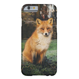 Watchful Fox selten gibt es Handy-Fall Barely There iPhone 6 Hülle