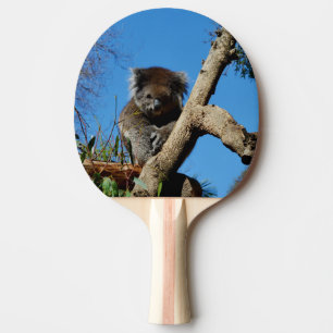 Watchful Koala Bear, Tischtennis Schläger