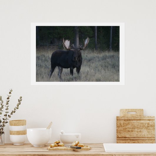 Watchful Moose Poster (Küche)