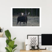 Watchful Moose Poster (Heimbüro)