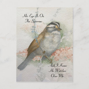 Watchful Song Sparrow Bible Quote Watercolor Postkarte